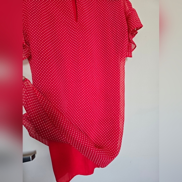 Red Polka Dot Mini Dress - Picture 4 of 4